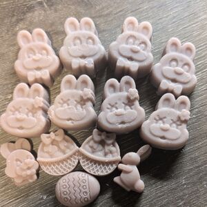 Bundle Bahamas BBW Easter Beeswax/ Soy Wax Tarts With 5 Warming Trays For Warmer